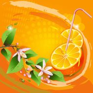 Background with orange slices and straw