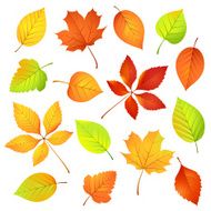 autumn leaves N161