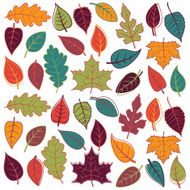 Large Vector Set of Abstract Autumn Leaves