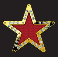 diamond star shape tag
