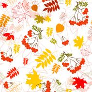 Seamless leaf and rowanberry pattern vector background