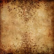 Old Paper Texture N26