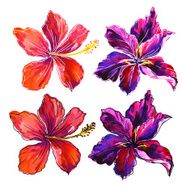 watercolor flower illustration with contour vivid hibiscus and orchid N2