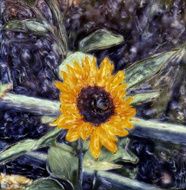 Sunflower N24