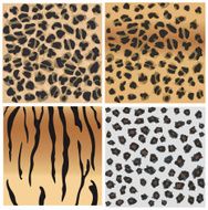 Animal patterns of tiger and leopard