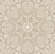Ornamental round lace background N3