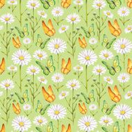 Camomile flowers and butterflies illustration