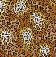 vector animal skin of leopard