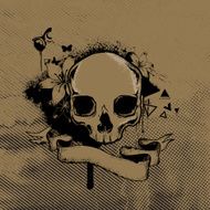 Skull grunge background