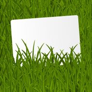Grass texture with paper card