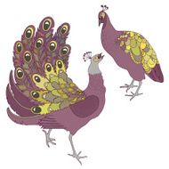 Two exotic birds N2