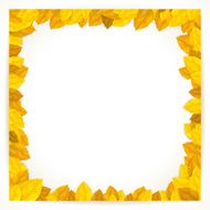Square frame with autumn leaves Vector illustration