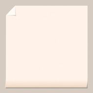 Sheet of paper N11