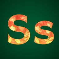Letter S in the autumn style