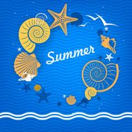 Summer background Shell on the waves