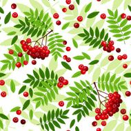 Seamless pattern with rowan leaves and berries Vector illustration
