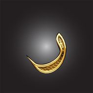 Vector golden Arabic figure N14