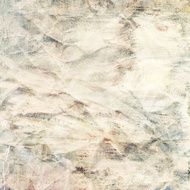 Painted grunge paper texture with space for text N6