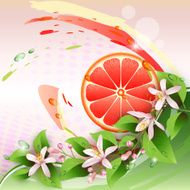 Abstract background with juicy slice of grapefruit