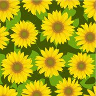 sunflower flower seamless background N3