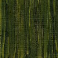 grunge dark green canvas background N2