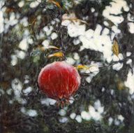 Single Pomegranate