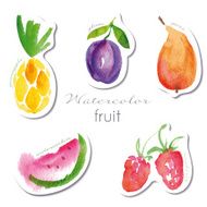 Watercolor fruit stickers set