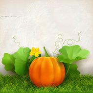 Pumpkin Leaves Grass N2