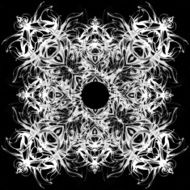 Mandala Decorative hand drawn lace pattern N45