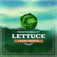 F&amp;B Labels - Lettuce N5