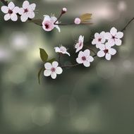 Flower tree background N3