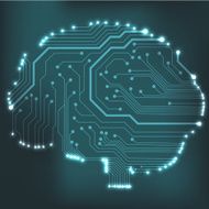 Circuit board computer brain Vector illustration N61