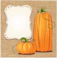 Pumpkins N29