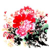 peony N17