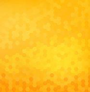 Honey pattern vector illustration N10