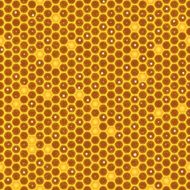 Seamless Honeycomb Texture N2