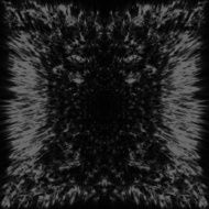 Black and grey abstract