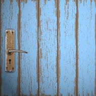 Old wooden door N2