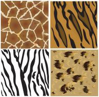 Animal patterns of tiger leopard giraffe and zebra N2