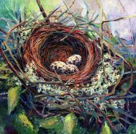 Nest