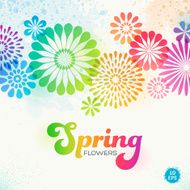 spring flowers N47