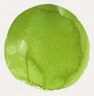 Watercolor Green Circle (Clipping Path) N2