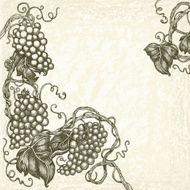 Vector Sketchy Grape Vine Border on Old Lined Paper Background N2