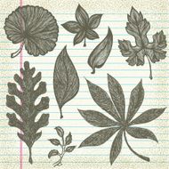 Hand-Drawn Leaves on Old Paper