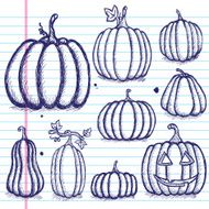 Set of Hand-Drawn Pumpkins on Paper N2