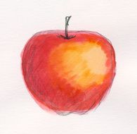 Painted watercolor apple