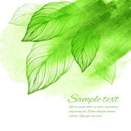 Watercolor green leaf design element Vector illustration N2