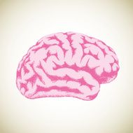 Human Brain N52