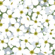 Seamless background with small white flowers Vector illustration