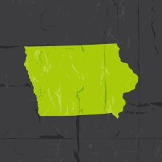 Detailed map of Iowa state grunge style N2
